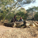 croc hunting zambia