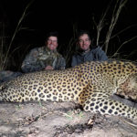 leopard hunting zambia