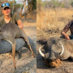 blue duiker trophy