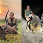 lion trophy africa